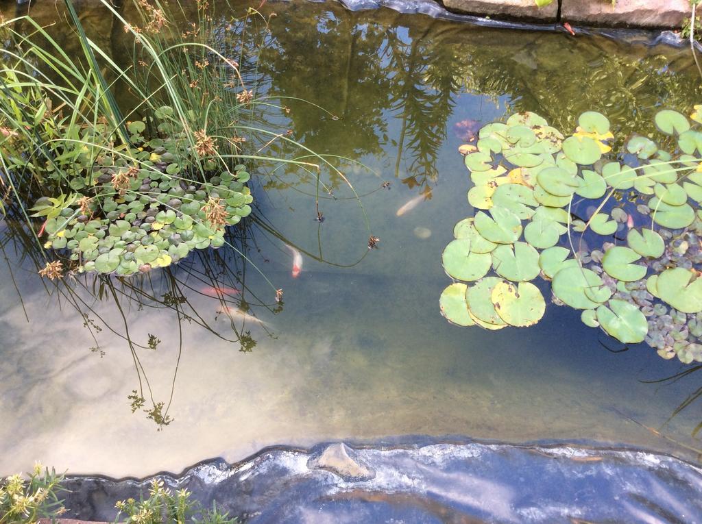 Kis Teniszhaz Ordacsehi Pokoj fotografie